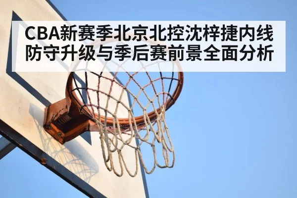 basketball rebound(kaiyun)